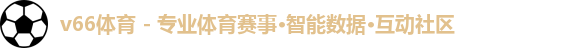 v66体育